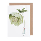 Laura Stoddart - Hellebore Greetings Card