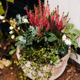 The Petersham Inspired Planter