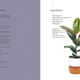 Plant: Houseplants Choosing Styling  Caring