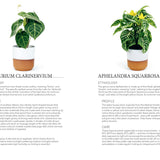 Plant: Houseplants Choosing Styling  Caring