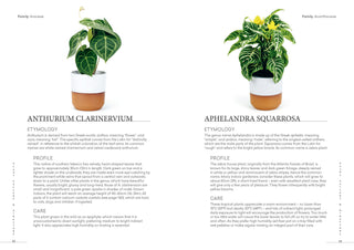 Plant: Houseplants Choosing Styling  Caring