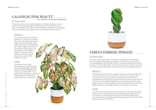 Plant: Houseplants Choosing Styling  Caring