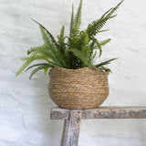 Seagrass Basket Planter With Frill Edge