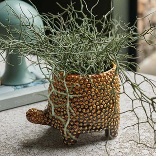 Abigail Ahern -  Medium Tortoise Pot