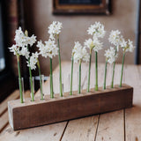 The Stem Keeper: Effortless Flower Display for the Home