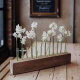 The Stem Keeper: Effortless Flower Display for the Home