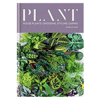 Plant: Houseplants Choosing Styling  Caring