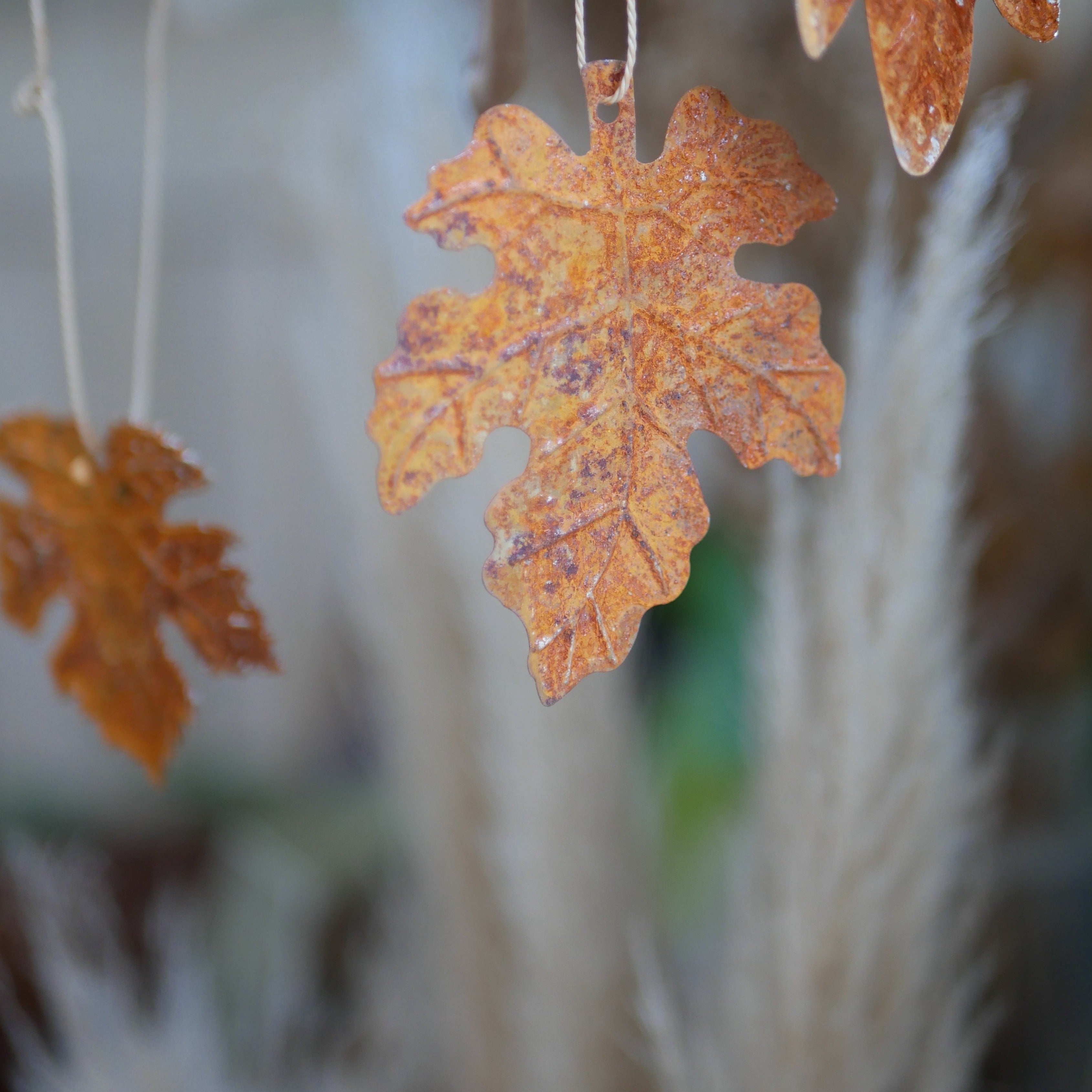 Rust Hanging Leaves