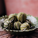 Dried Whole Lime Bundle